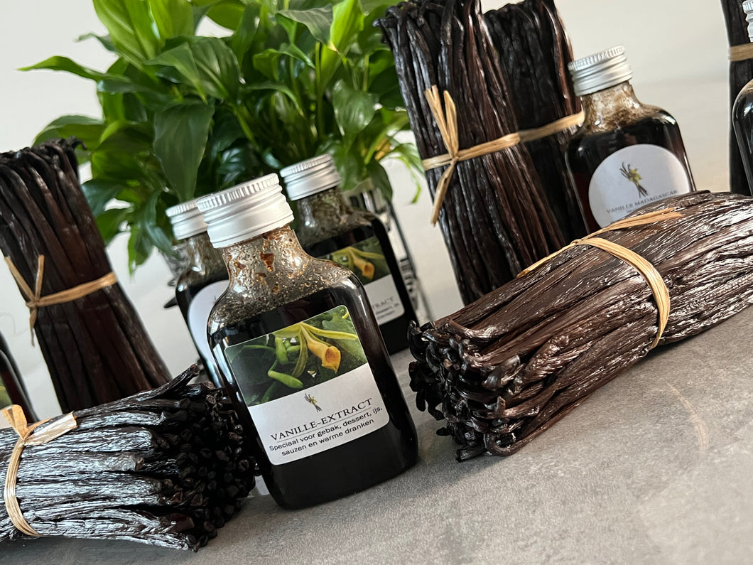 Pasta Vanille Gourmet Extract
